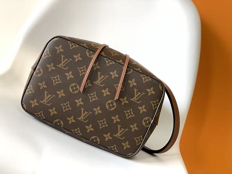 Lv 5